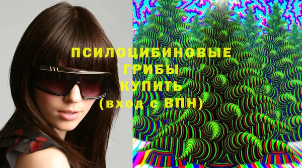 молекула духа Алексеевка