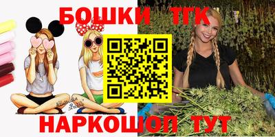 индика Ирбит