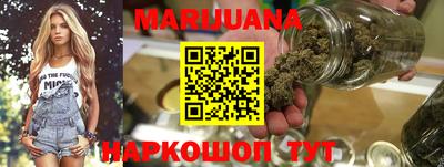 индика Ирбит