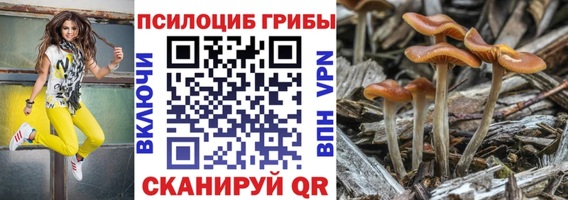 omg сайт  Чебаркуль  Псилоцибиновые грибы мухоморы 