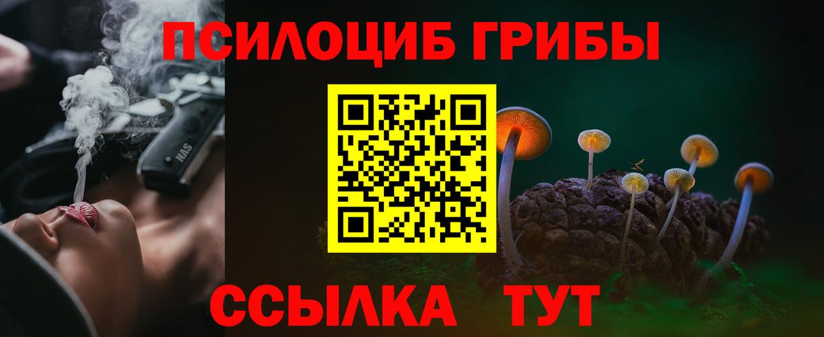 Чебаркуль  Псилоцибиновые грибы ЛСД  Вход с VPN  Галлюциногенные грибы ЛСД 